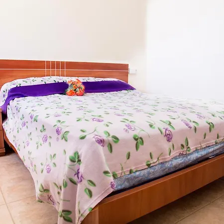 Cactus Villa